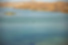 pexels-photo-5189209.jpeg